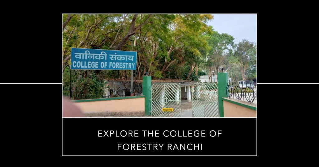 College of Forestry